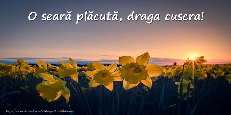 Felicitari de buna seara pentru Cuscra - Flori: O seară plăcută, draga cuscra!