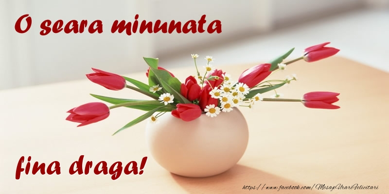 Felicitari de buna seara pentru Fina - O seara minunata fina draga!