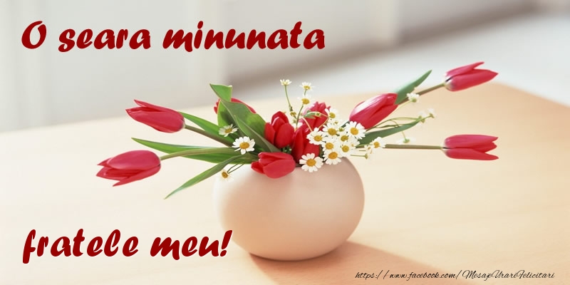 Felicitari de buna seara pentru Frate - O seara minunata fratele meu!