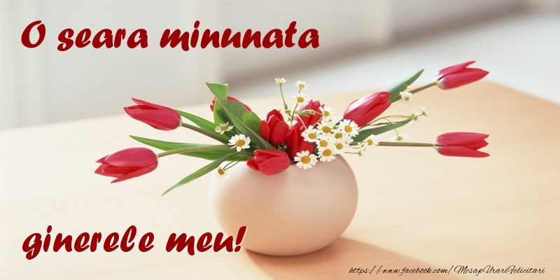 Felicitari de buna seara pentru Ginere - O seara minunata ginerele meu!