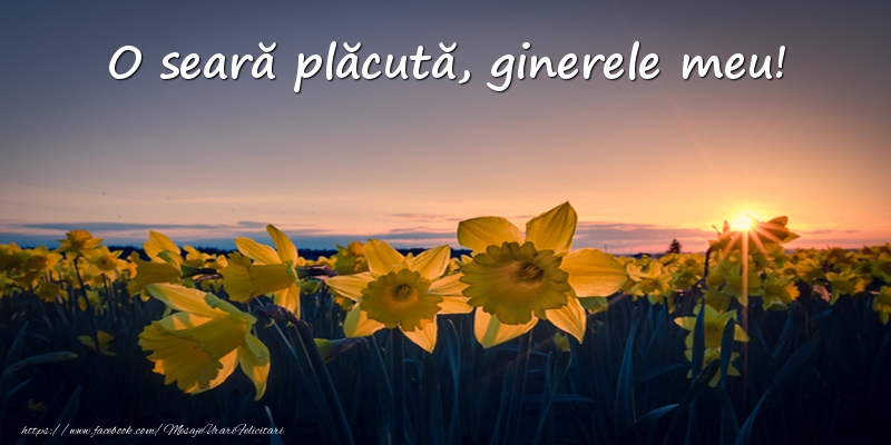 Felicitari de buna seara pentru Ginere - Flori: O seară plăcută, ginerele meu!