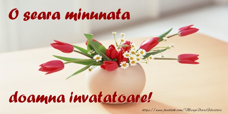 Felicitari de buna seara pentru Invatatoare - O seara minunata doamna invatatoare!