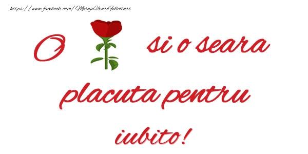 Felicitari de buna seara pentru Iubita - O floare si o seara placuta pentru iubito!