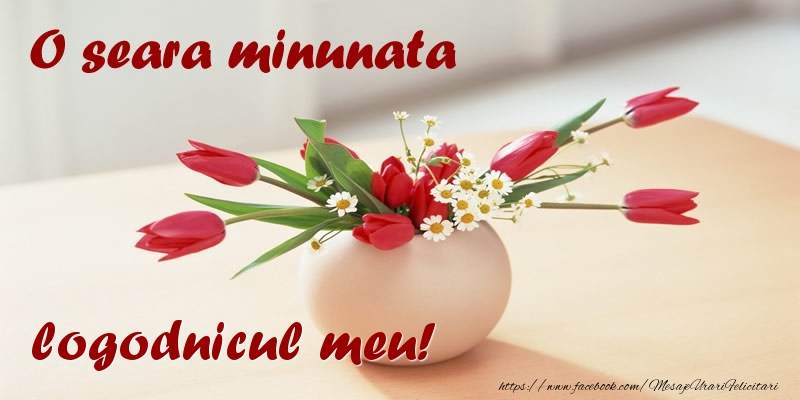 Felicitari de buna seara pentru Logodnic - O seara minunata logodnicul meu!