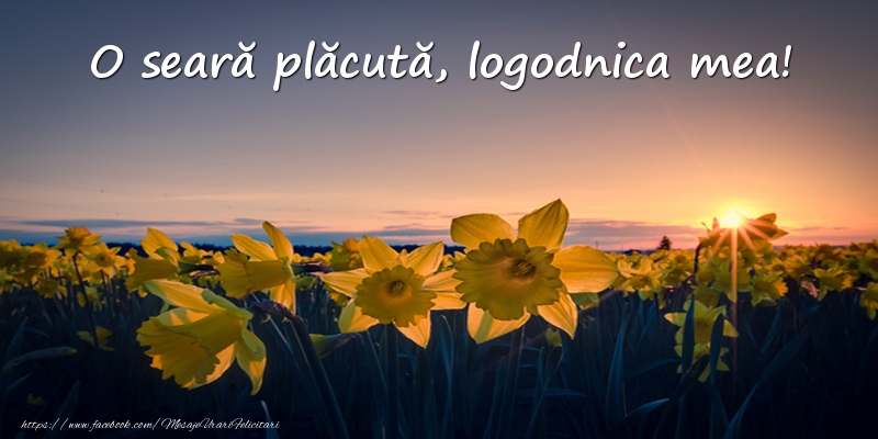 Felicitari de buna seara pentru Logodnica - Flori: O seară plăcută, logodnica mea!
