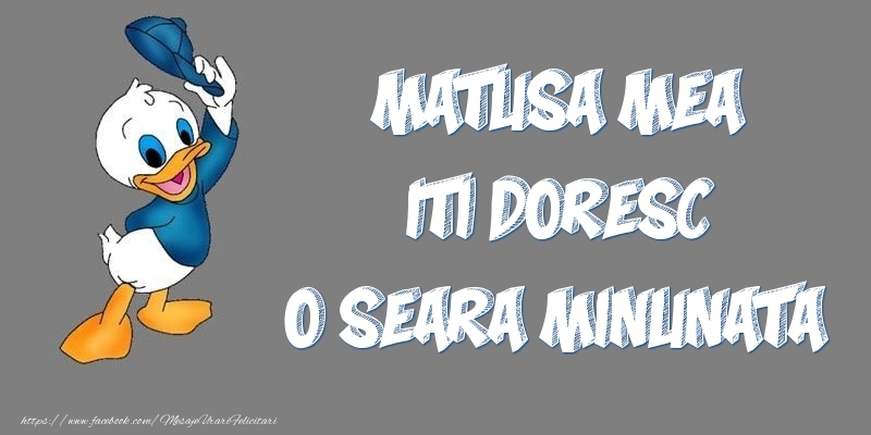 Felicitari de buna seara pentru Matusa - Matusa mea iti doresc o seara minunata