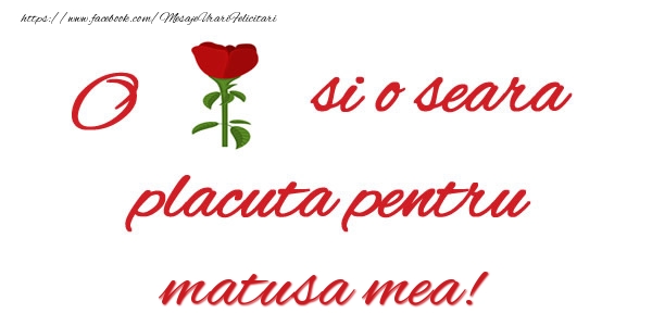 Felicitari de buna seara pentru Matusa - O floare si o seara placuta pentru matusa mea!
