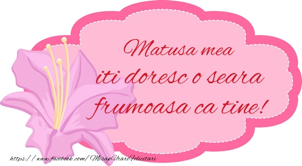 Felicitari de buna seara pentru Matusa - Matusa mea iti doresc o seara frumoasa ca tine!