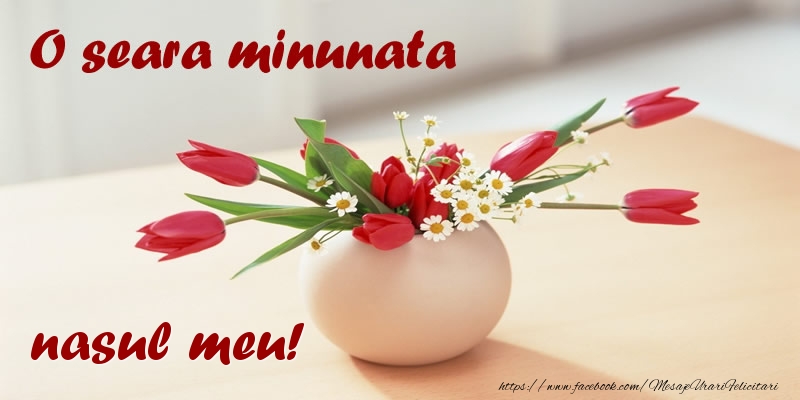 Felicitari de buna seara pentru Nas - O seara minunata nasul meu!