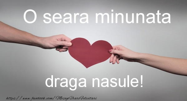 Felicitari de buna seara pentru Nas - O seara minunata draga nasule!