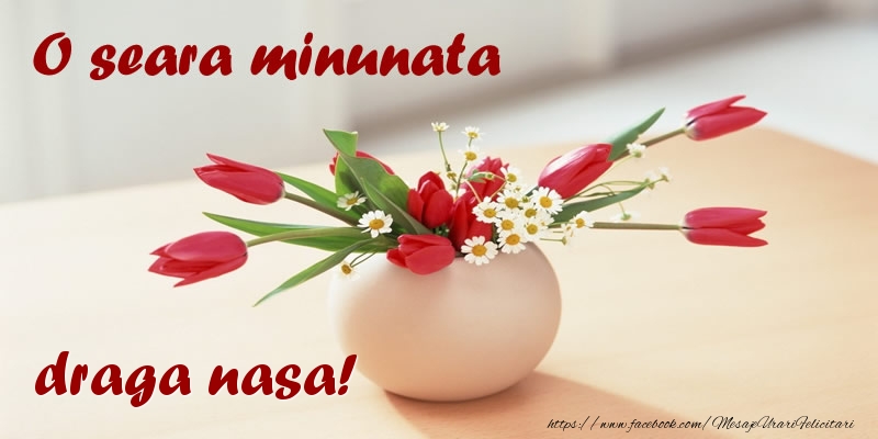 Felicitari de buna seara pentru Nasa - O seara minunata draga nasa!