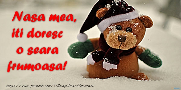 Felicitari de buna seara pentru Nasa - Nasa mea iti doresc o seara frumoasa!