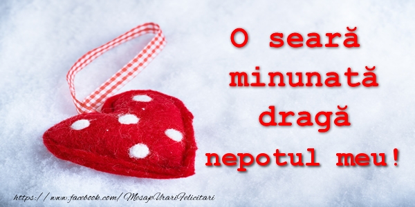 Felicitari de buna seara pentru Nepot - O seara minunata draga nepotul meu!