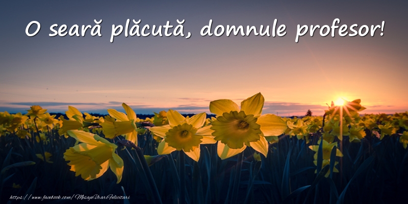 Felicitari de buna seara pentru Profesor - Flori: O seară plăcută, domnule profesor!