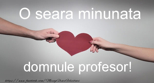 Felicitari de buna seara pentru Profesor - O seara minunata domnule profesor!