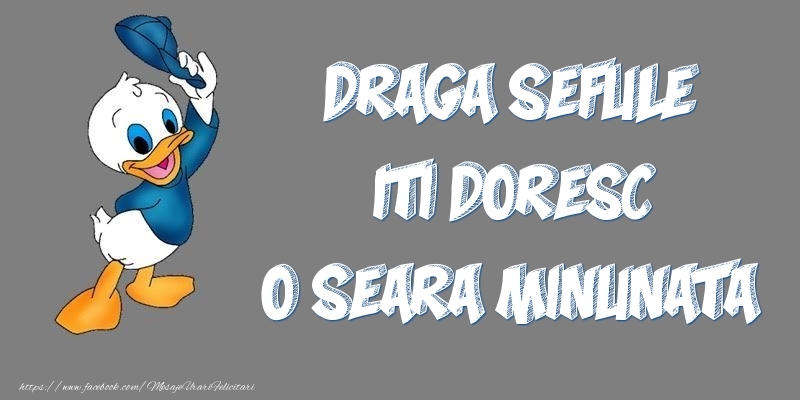Felicitari de buna seara pentru Sef - Draga sefule iti doresc o seara minunata