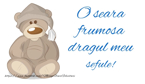 Felicitari de buna seara pentru Sef - O seara frumosa dragul meu sefule!
