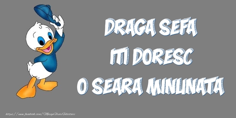 Felicitari de buna seara pentru Sefa - Draga sefa iti doresc o seara minunata