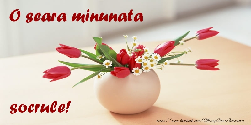 Felicitari de buna seara pentru Socru - O seara minunata socrule!