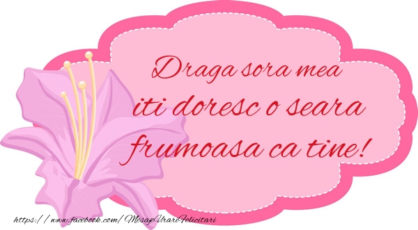 Felicitari de buna seara pentru Sora - Draga sora mea iti doresc o seara frumoasa ca tine!