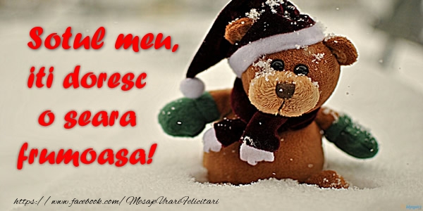 Felicitari de buna seara pentru Sot - Sotul meu iti doresc o seara frumoasa!