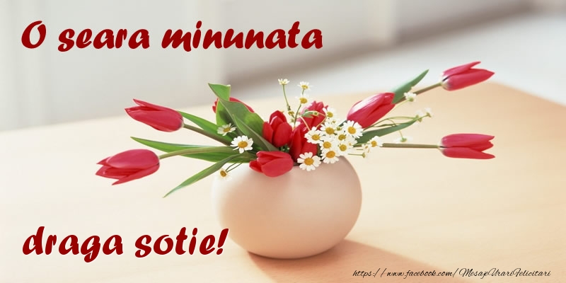 Felicitari de buna seara pentru Sotie - O seara minunata draga sotie!