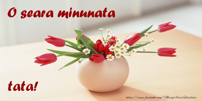 Felicitari de buna seara pentru Tata - O seara minunata tata!