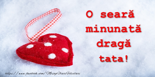 Felicitari de buna seara pentru Tata - O seara minunata draga tata!