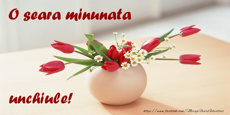 Felicitari de buna seara pentru Unchi - O seara minunata unchiule!