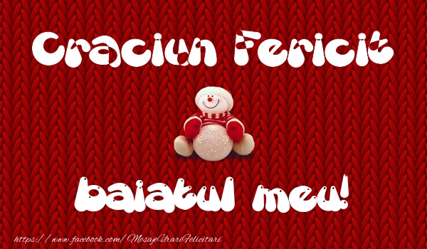 Felicitari de Craciun pentru Baiat - Craciun Fericit baiatul meu!
