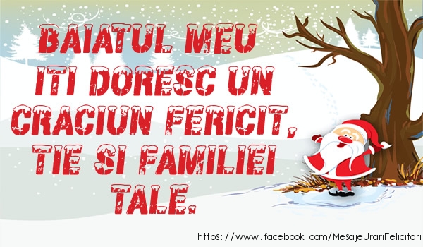 Felicitari de Craciun pentru Baiat - Baiatul meu iti doresc un Craciun fericit, tie si familiei tale