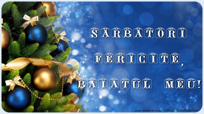 Felicitari de Craciun pentru Baiat - Sarbatori Fericite, baiatul meu