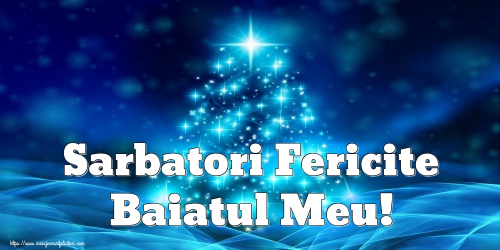 Felicitari de Craciun pentru Baiat - Sarbatori Fericite baiatul meu!
