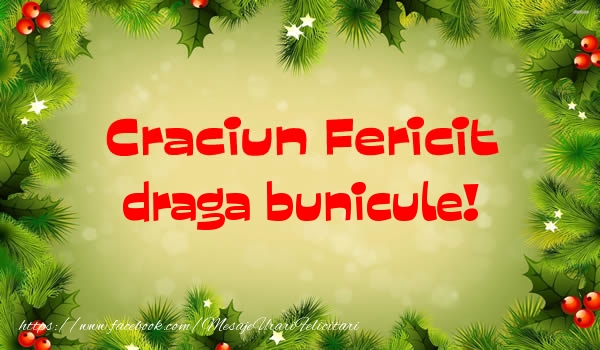 Felicitari de Craciun pentru Bunic - Craciun Fericit draga bunicule!