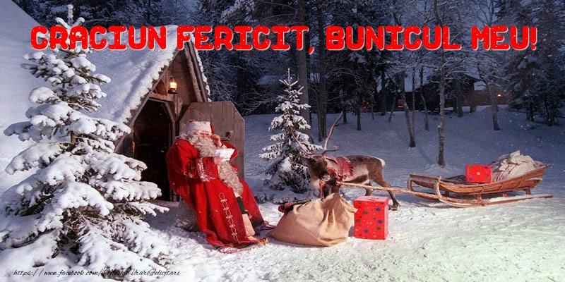 Felicitari de Craciun pentru Bunic - Craciun Fericit, bunicul meu!