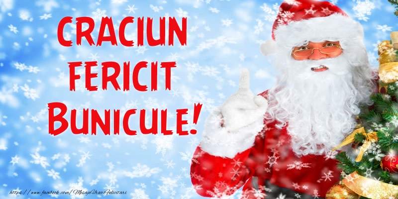 Felicitari de Craciun pentru Bunic - Craciun Fericit bunicule!