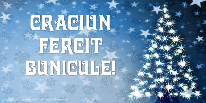 Felicitari de Craciun pentru Bunic - Craciun Fericit bunicule!