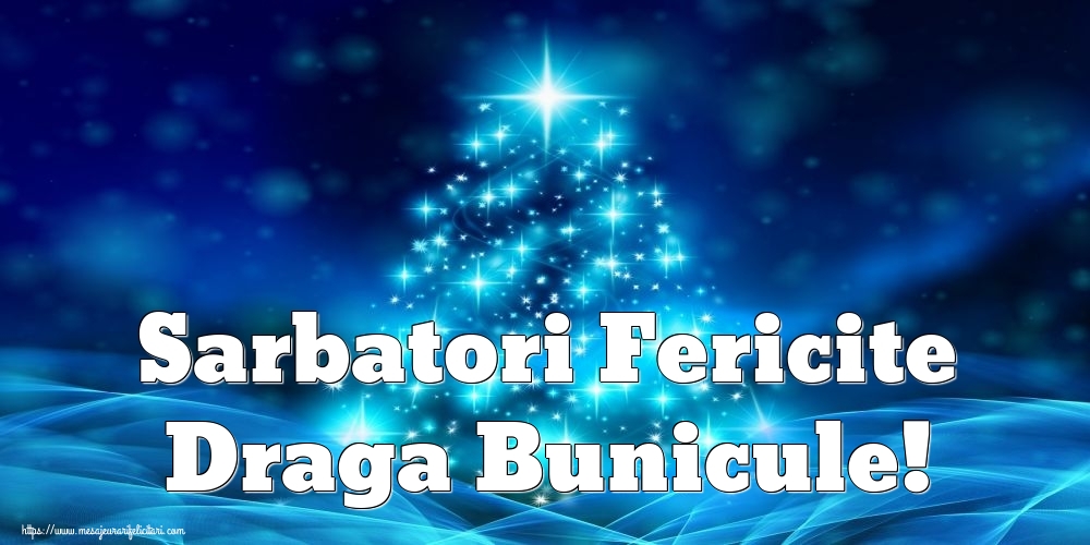 Felicitari de Craciun pentru Bunic - Sarbatori Fericite draga bunicule!