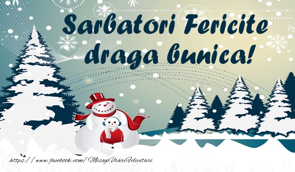 Felicitari de Craciun pentru Bunica - Sarbatori fericite draga bunica!