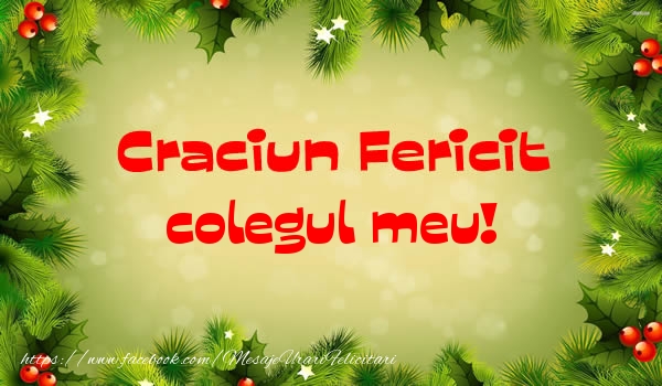 Felicitari de Craciun pentru Coleg - Craciun Fericit colegul meu!