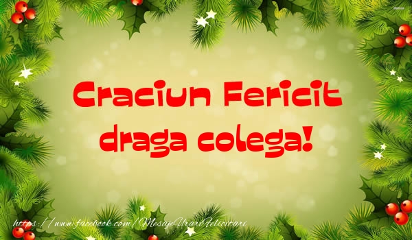 Felicitari de Craciun pentru Colega - Craciun Fericit draga colega!