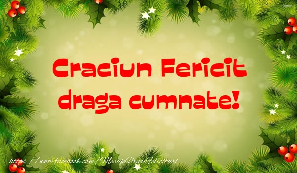 Felicitari de Craciun pentru Cumnat - Craciun Fericit draga cumnate!