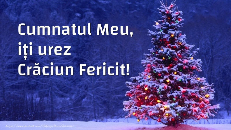 Felicitari de Craciun pentru Cumnat - Cumnatul meu, iți urez Crăciun Fericit!