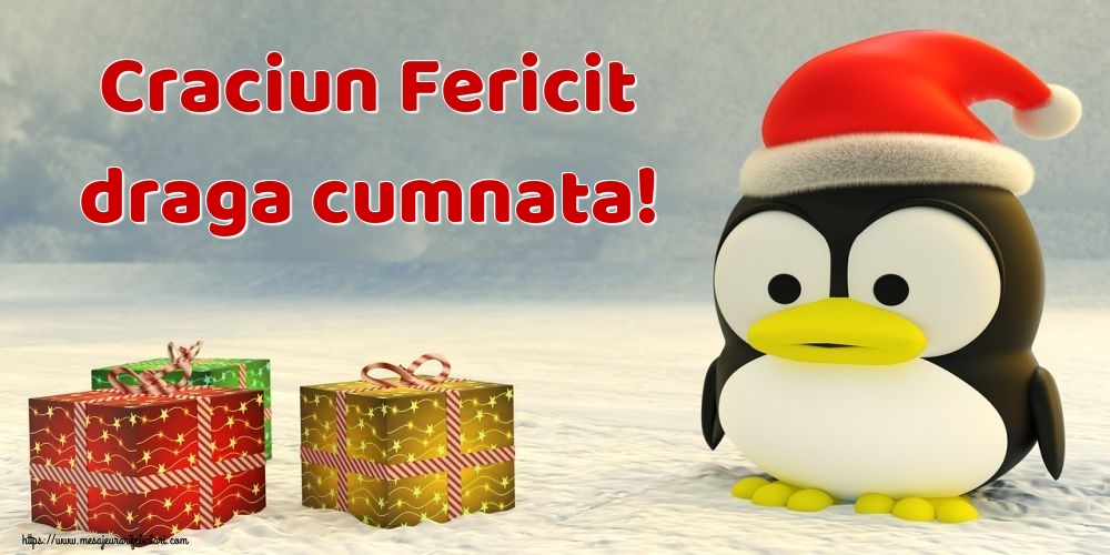 Felicitari de Craciun pentru Cumnata - Craciun Fericit draga cumnata!