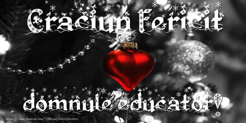 Felicitari de Craciun pentru Educator - Craciun Fericit domnule educator!