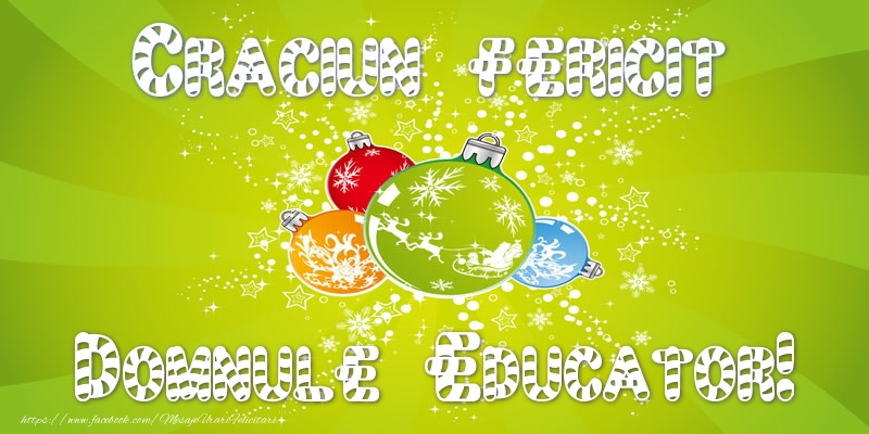 Felicitari de Craciun pentru Educator - Craciun Fericit domnule educator!