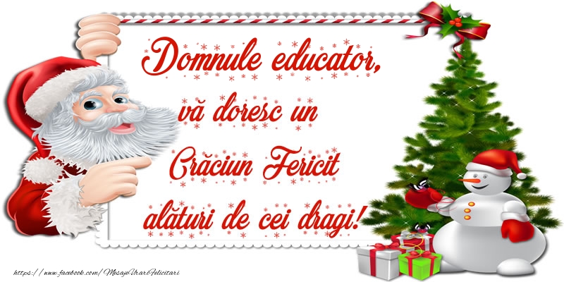 Felicitari de Craciun pentru Educator - Domnule educator, vă doresc un Crăciun Fericit alături de cei dragi!