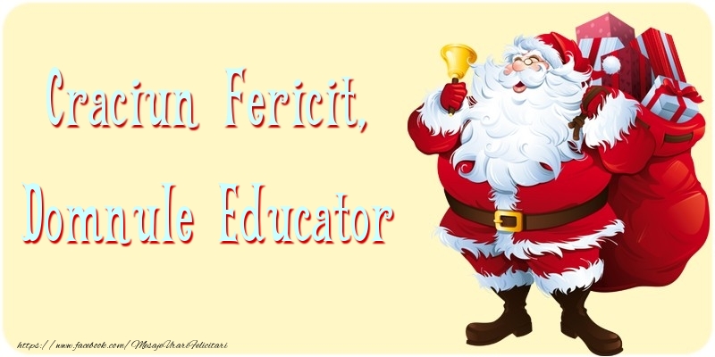 Felicitari de Craciun pentru Educator - Craciun Fericit, domnule educator