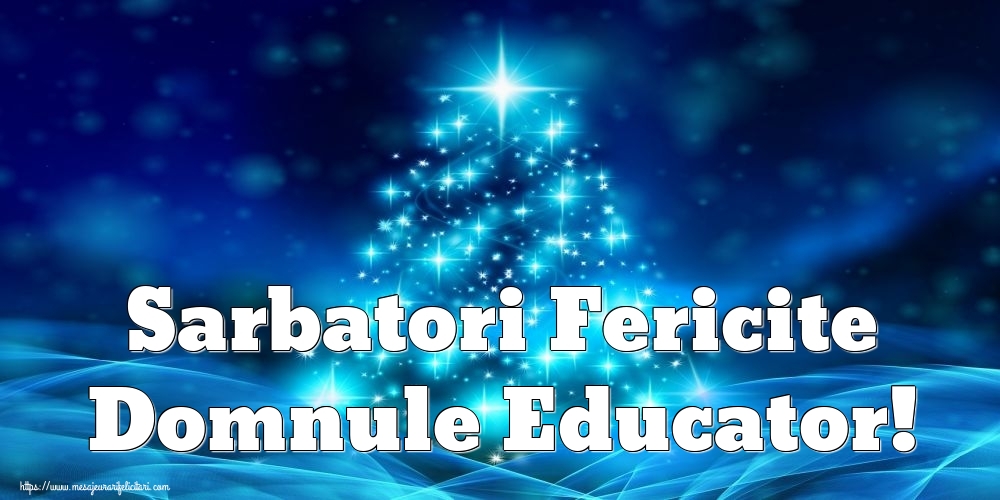Felicitari de Craciun pentru Educator - Sarbatori Fericite domnule educator!
