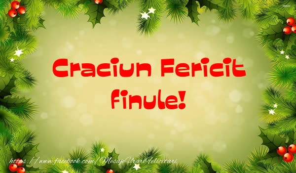 Felicitari de Craciun pentru Fin - Craciun Fericit finule!
